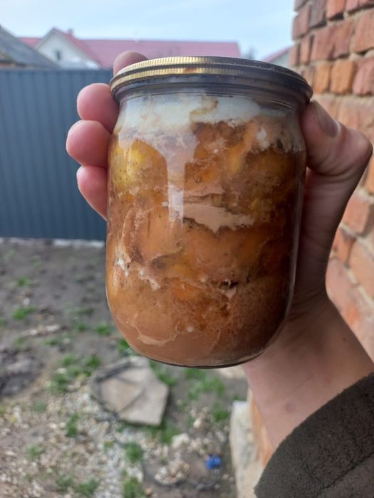 Тушонка домашня свинна 125грн