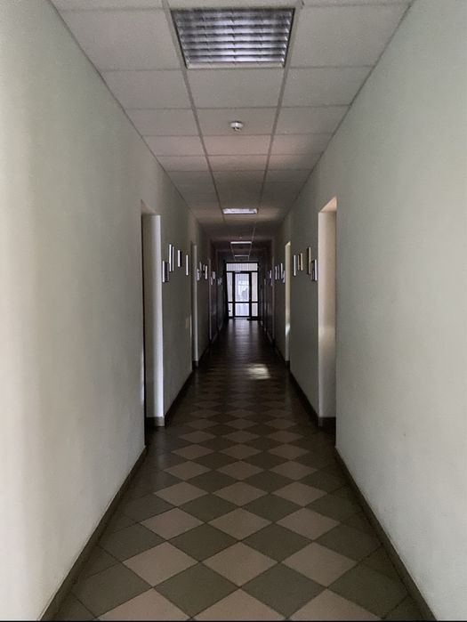 Здам офіс в центрі  вул. Полуботко