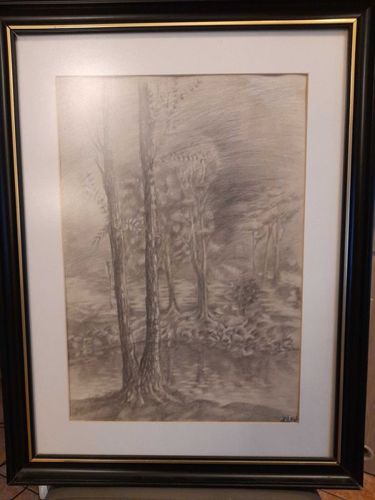 Pejzaż LAS grafitowy w ołówku oprawiony w ramie za specjalnym szkłem