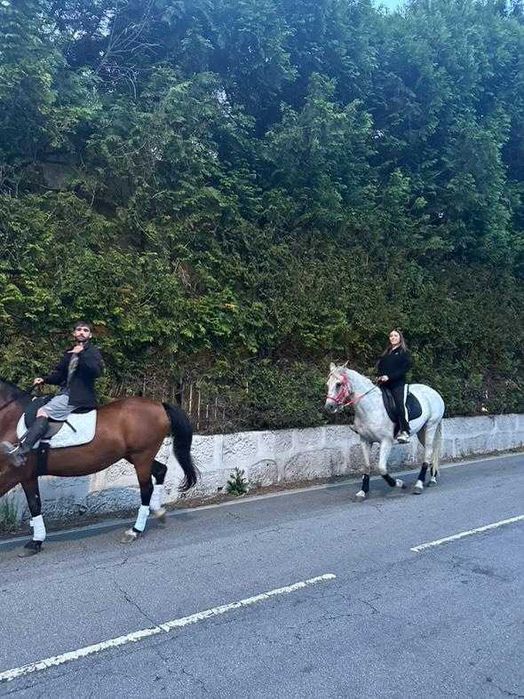 Egua branca bem montada