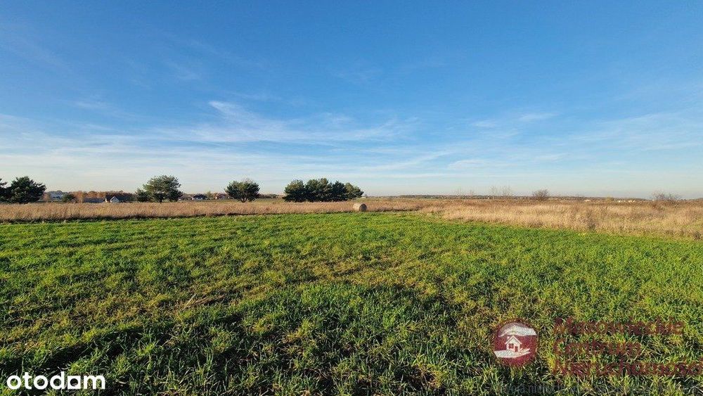 Działki budowlane w Złotopolicach z Wz + media