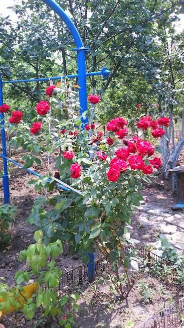 Продам дачу Алтестово-Палиево