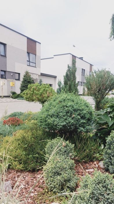 Продам газифікований будинок в бізнез КМ "Балатон". Нові Петрівці