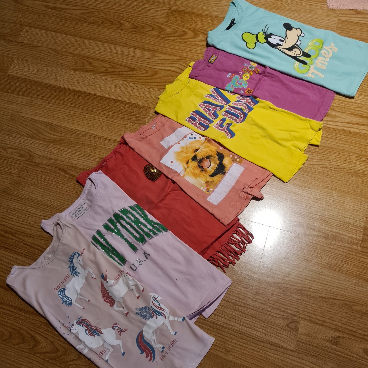 Lote de t-shirts e sweats variadas
