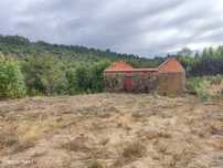 Quinta com 6ha em Penalva do Castelo
