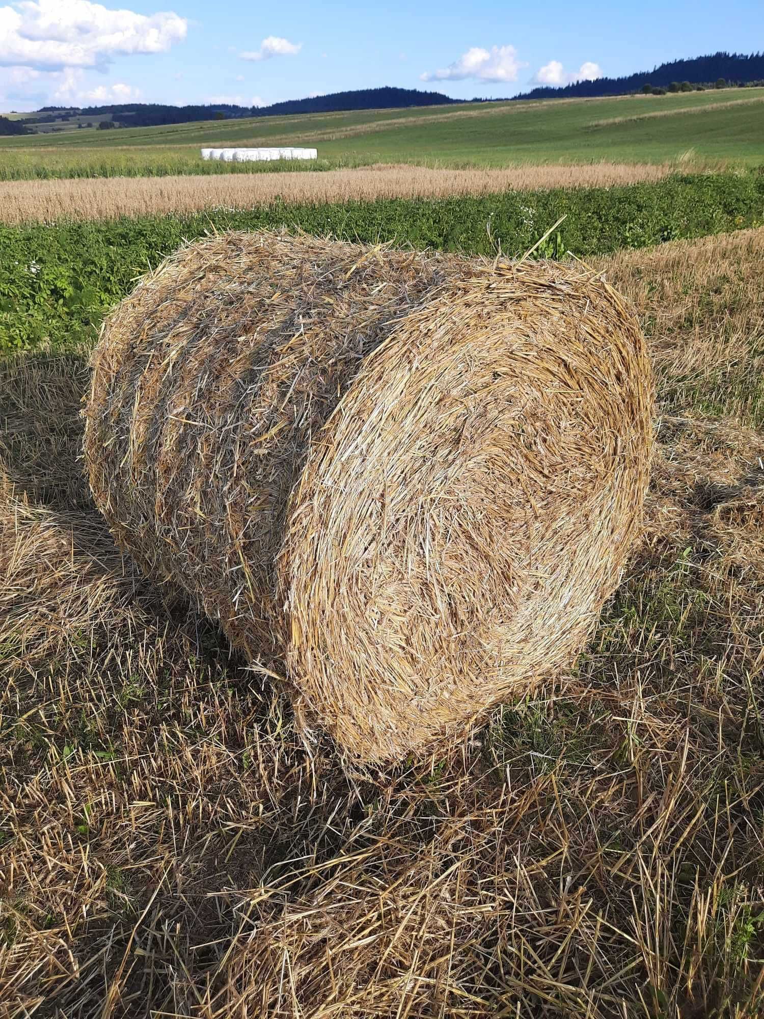 Bale słomy słoma siano pasza