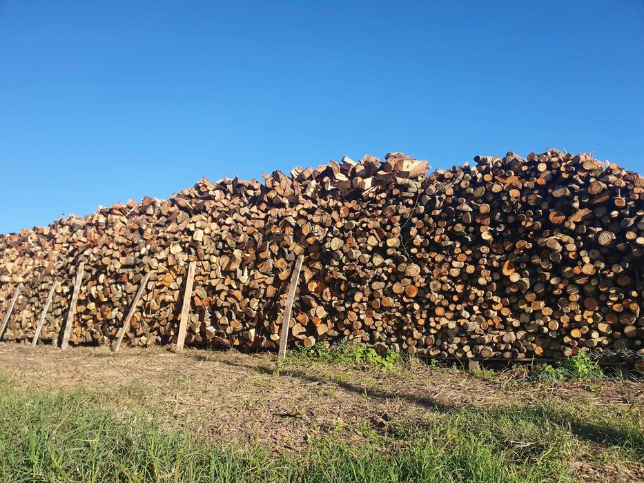 Lenha Seca para Lareira / Firewood