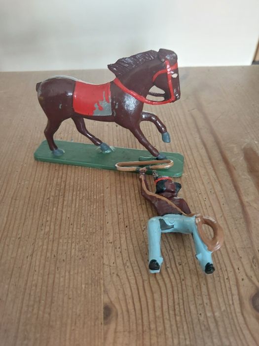 Kioskowce łowy na Mustanga