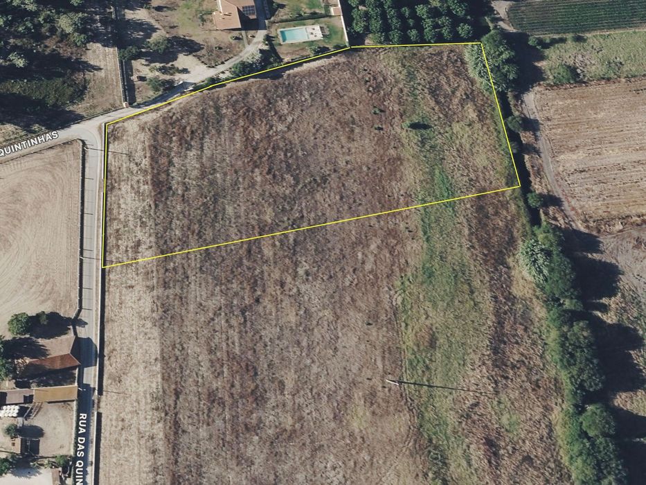 Terreno rústico / agrícola com 10.320 m2 em Salvaterra de Magos
