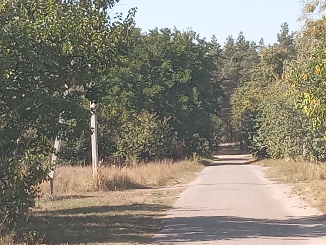 Продам будинок в с.Лебедівка , поруч з лісом і каналом р.Дніпро