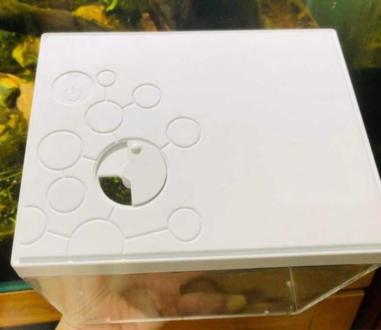 Aquario para betta com led