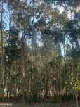 Terreno  para venda