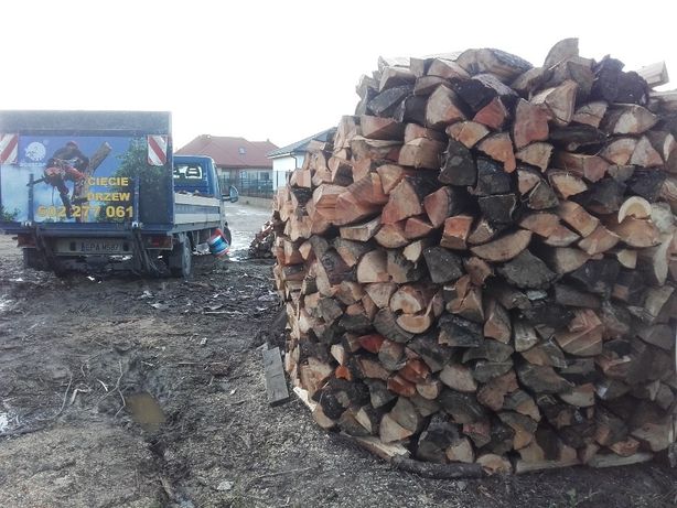 Drzewo drewno na opał kominkowe Ksawerów Aleksandrów Łódź