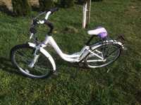 Unibike Princess rower 24