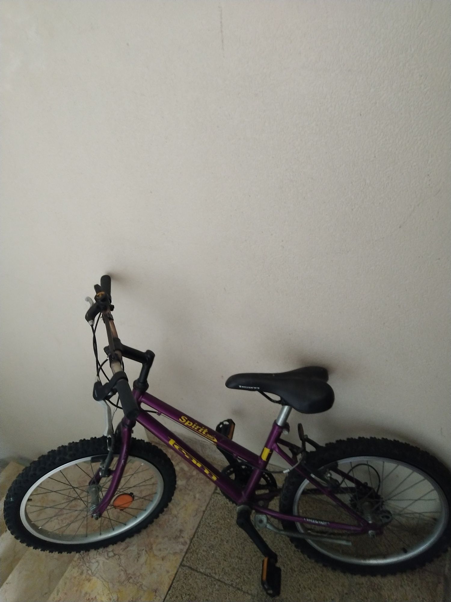 Bicicleta roda 20