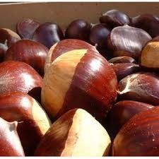 Castanhas para venda selecionadas e calibradas, do produtor Vila Verde