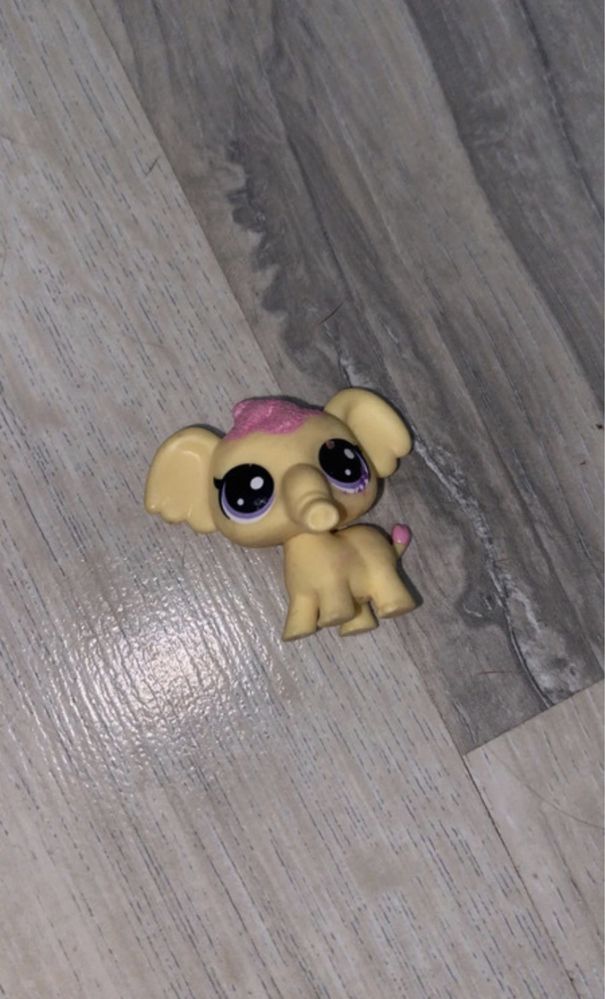 Littlest pet shop