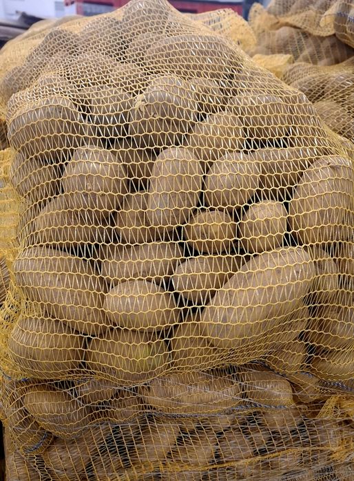 Ziemniaki Queen Anna jajka i inne