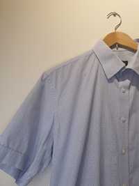 Koszula męska Wólczanka 43 z krótkim rękawem niebieska drobna kratka k