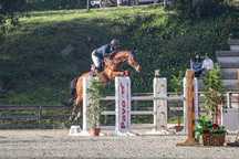 Cavalo castrado a saltar 1.30m