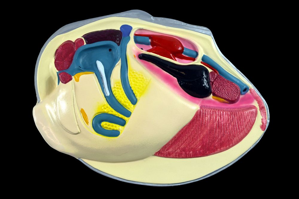 Услуги 3д печати и сканирования/3д печать/3д сканирование