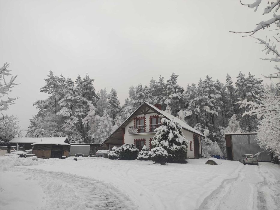 Dom na wynajem Sylwester 2025/2026