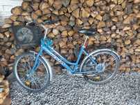 Rower Travers kobiecy