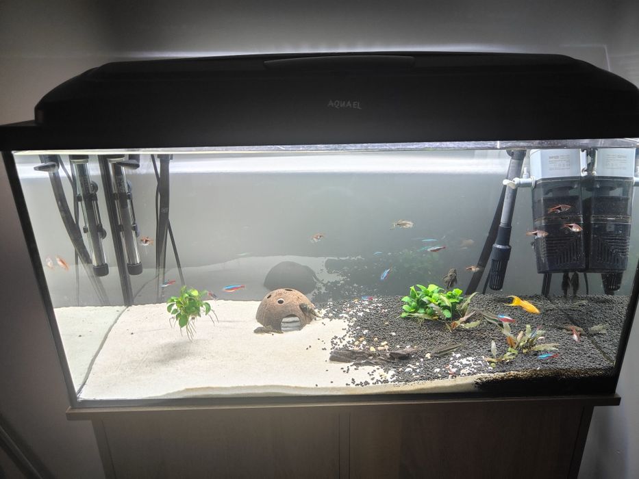 Akwarium 112l z szafka