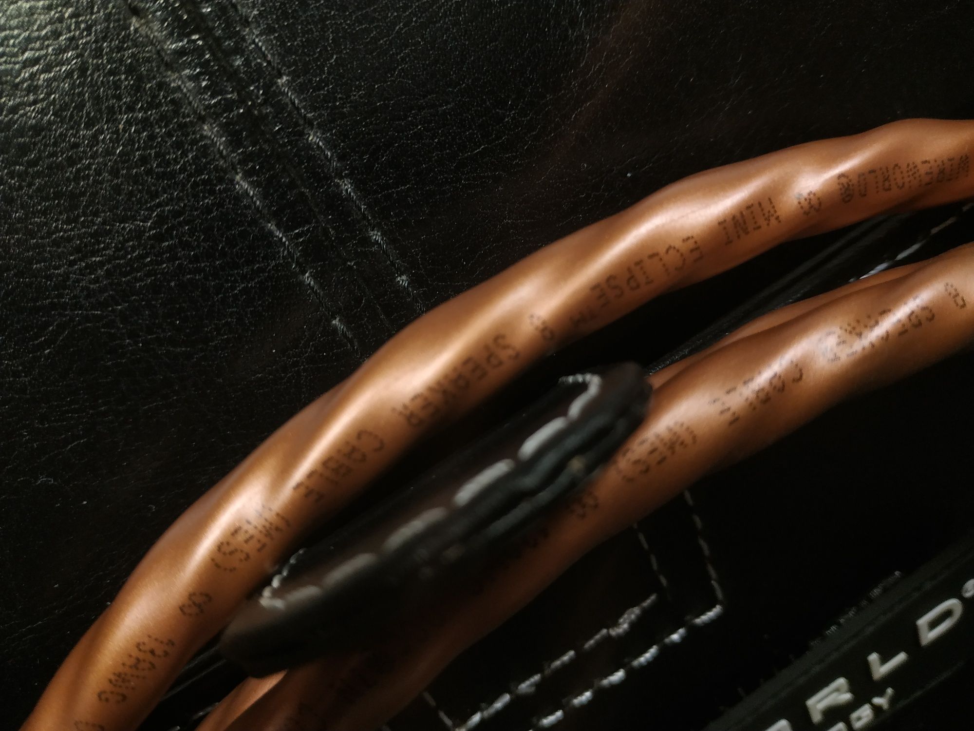 WireWorld Mini Eclipse 10 Kable głośnikowe konfekcja Trans Audio Hi-Fi