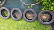 4x FALKEN euroall season AS210 235/55 r19 105 wielosezonowe
