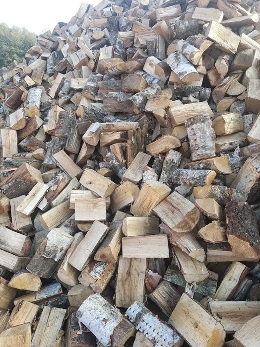 5.0.1.0.2.6.1.4.9 Drewno, drzewo kominkowe, opałowe