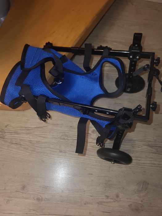 Wózek inwalidzki dla psa na tylne nogi