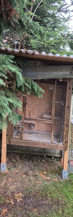 Woliera dla ptaków (papug)