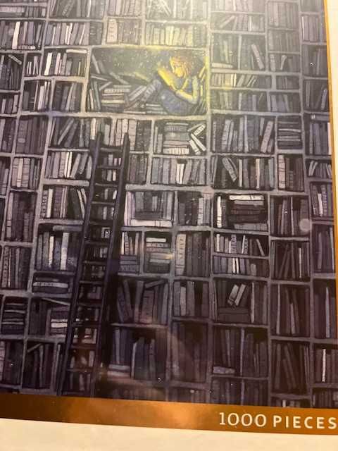 Puzzle Lisa Aisato 1000 elementów, Rainfall Miłośniczka książek Nowe
