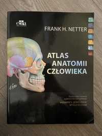 Atlas Anatomii Czlowieka Netter (łacińskie nazewnictwo)