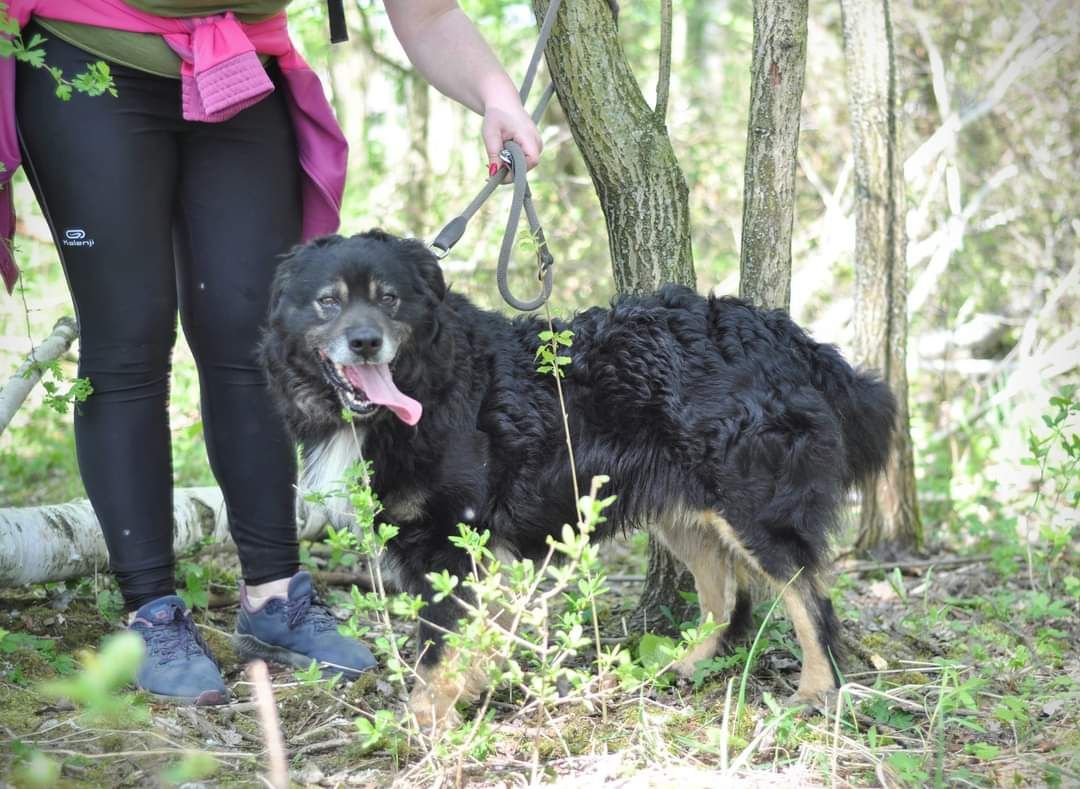 Piękny Barry 6 lat