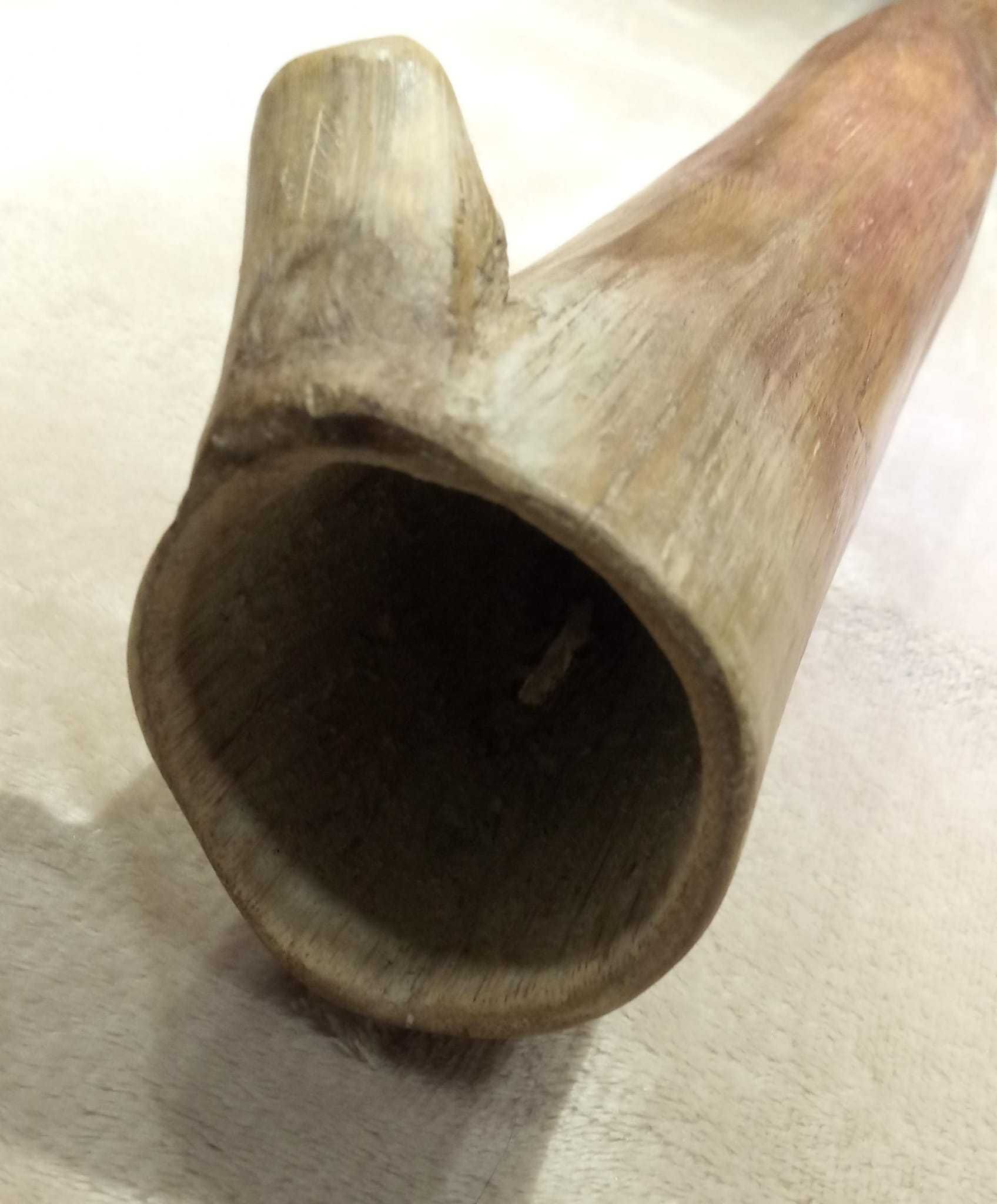 Didgeridoo em D Agave
