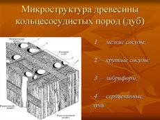 дубова щепа підготовлена для приготування конь'яків, віски, борбонів