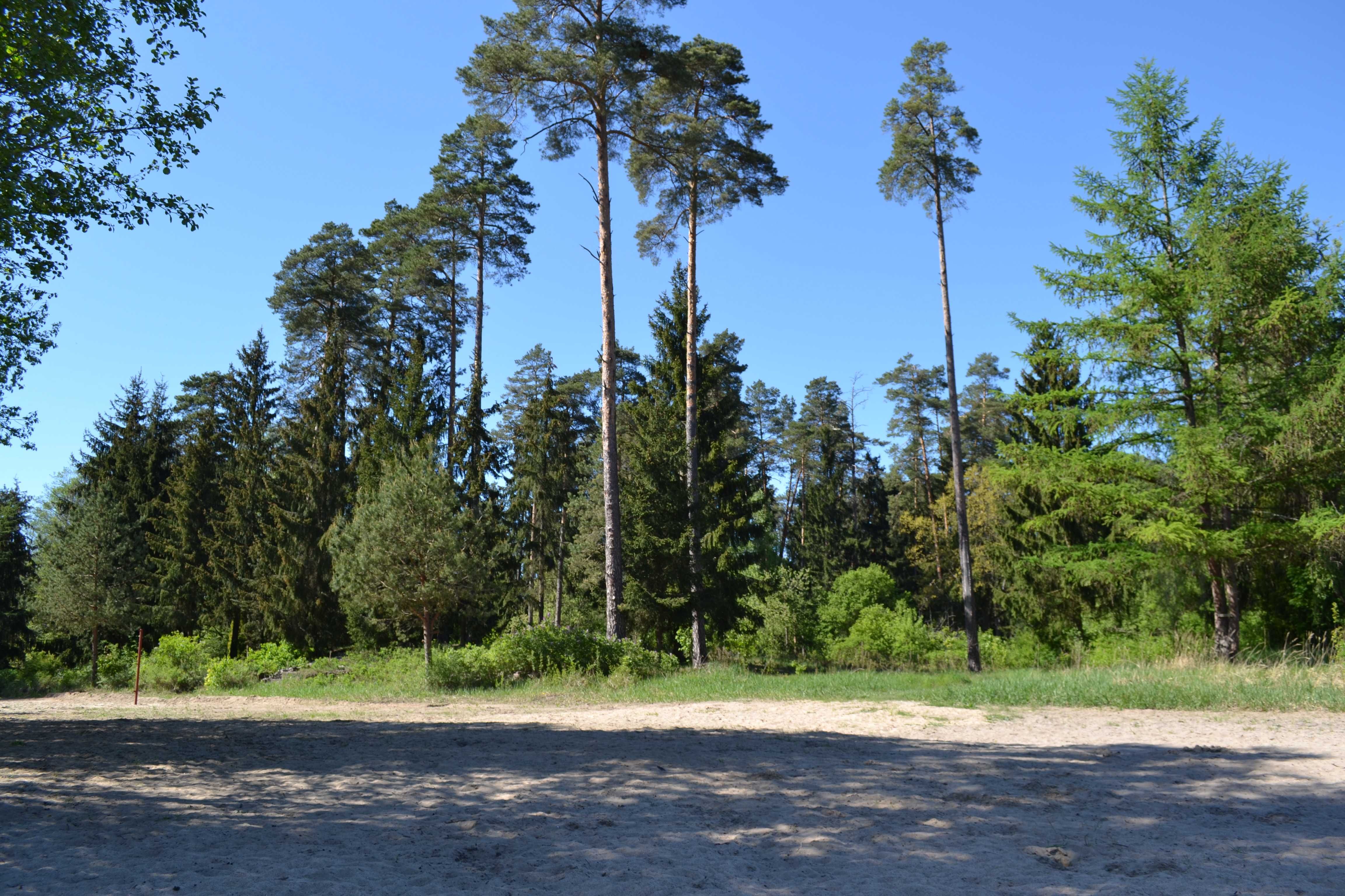 Last Minute Mazury Szeroki Bór Piski Apartament nad jeziorem Jegocinek