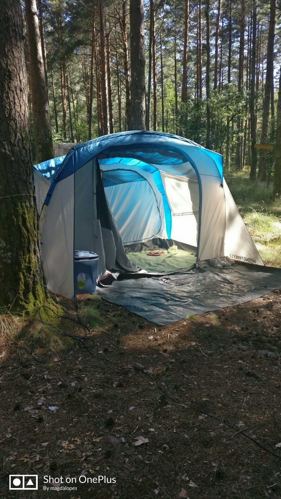 Tenda Quechua Arpenaz 5.2 Varetas