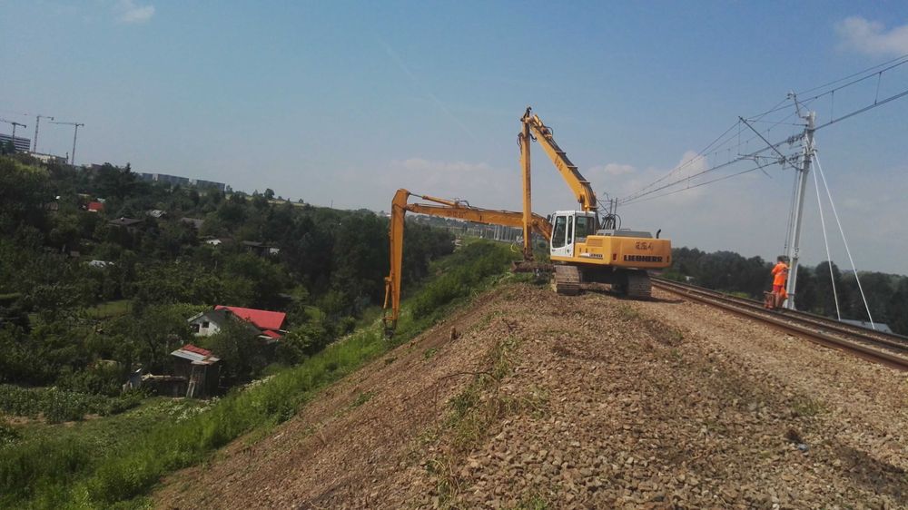 kopanie stawów, koparka long wynajem,usługi,skarpowanie,cała Polska