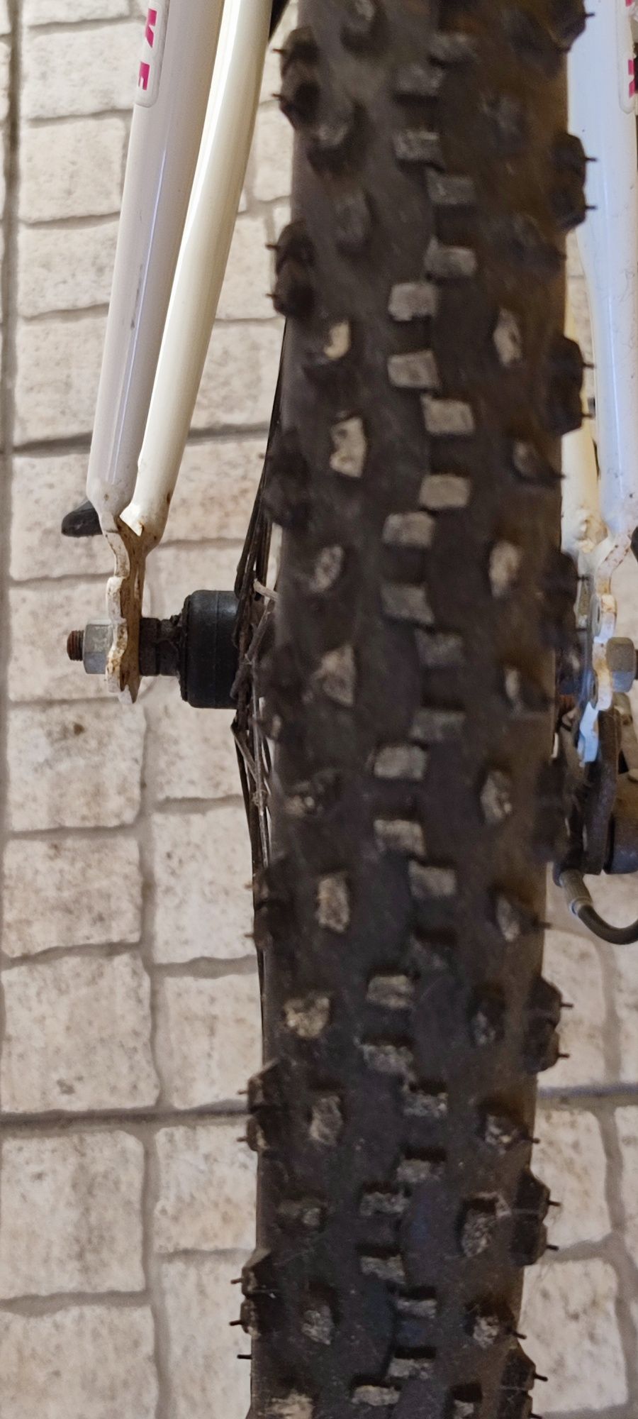 Bicicleta senhora