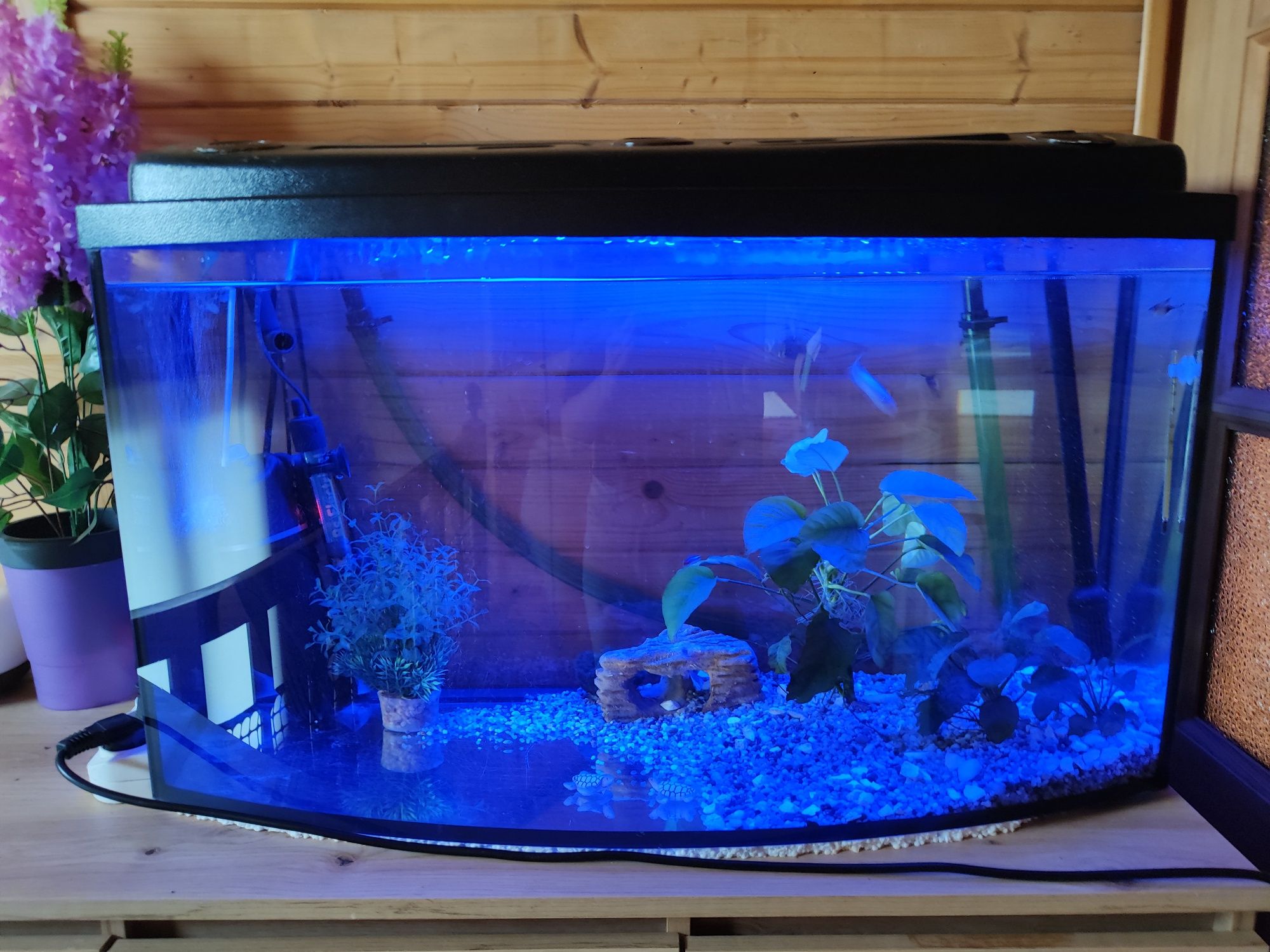Akwarium profilowane 140l z pokrywą zestaw LED RGB filtr grzałka