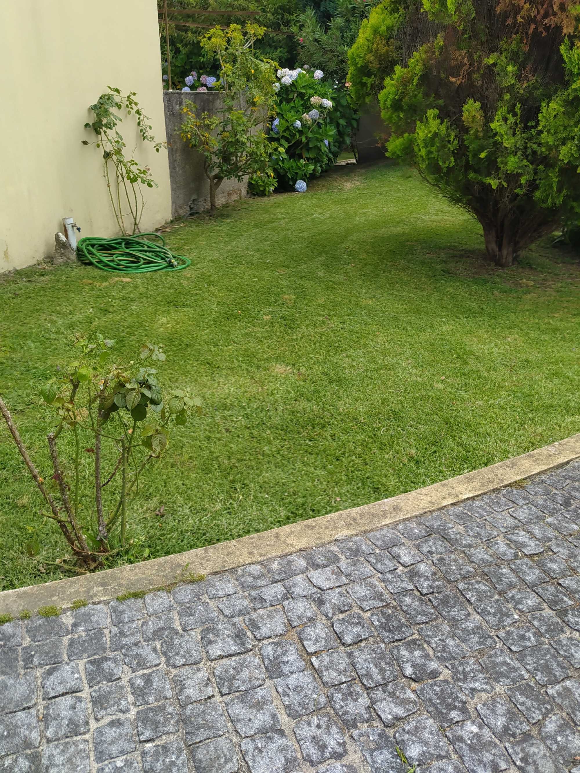 Manuntenção de jardins/ limpeza de terrenos