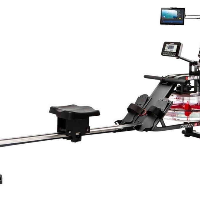 Wioślarz wodny, hammer water