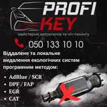 програмне видалення екології DPF / FAP CAT  AdBlue / SCR прошивка авто
