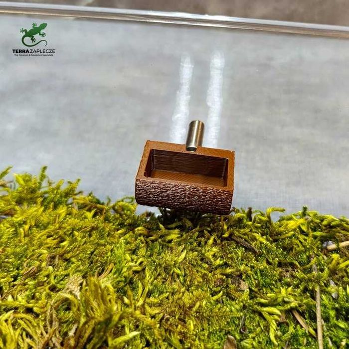 Magnetyczna Miska do Terrarium- Miseczka Wisząca 2x3x1,2 TerraZaplecze