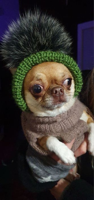 Шапка для собак с мехом