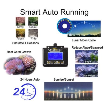 PopBloom Turing75 EcoTech, radion xr15w, XR30W smart SPS LPS