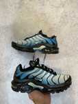 Кросівки Nike TN Air Max Plus Light